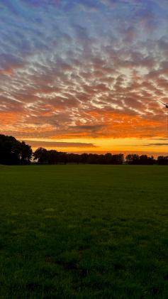 FDP Kreisverband Kleve-Geldern